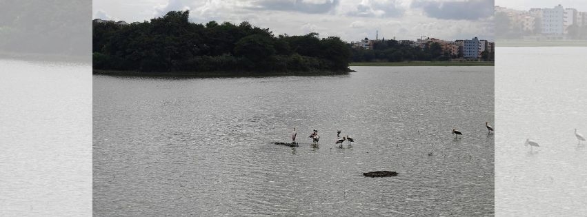sanskrutik vartapatra krushi_feed-lake-restoration-women-in-fishing.jpg