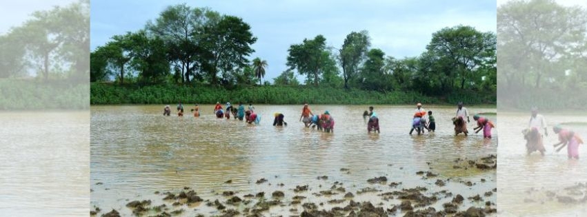 sanskrutik vartapatra krushi_16