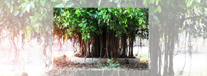 Sanskrutik Vartapatra_Anya_58 (1)