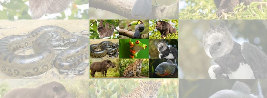 Sanskrutik Vartapatra_Anya_ 71 (1)