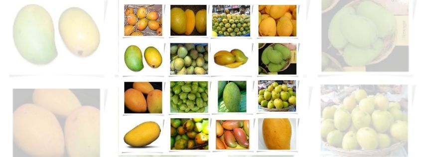 sanskrutik vartapatra paryavaran_10.jpg sanskrutik vartapatra paryavaran_10.jpg